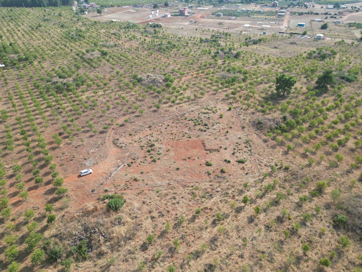 Premium Land for Sale in Antalya, Adjacent to Serene Forest