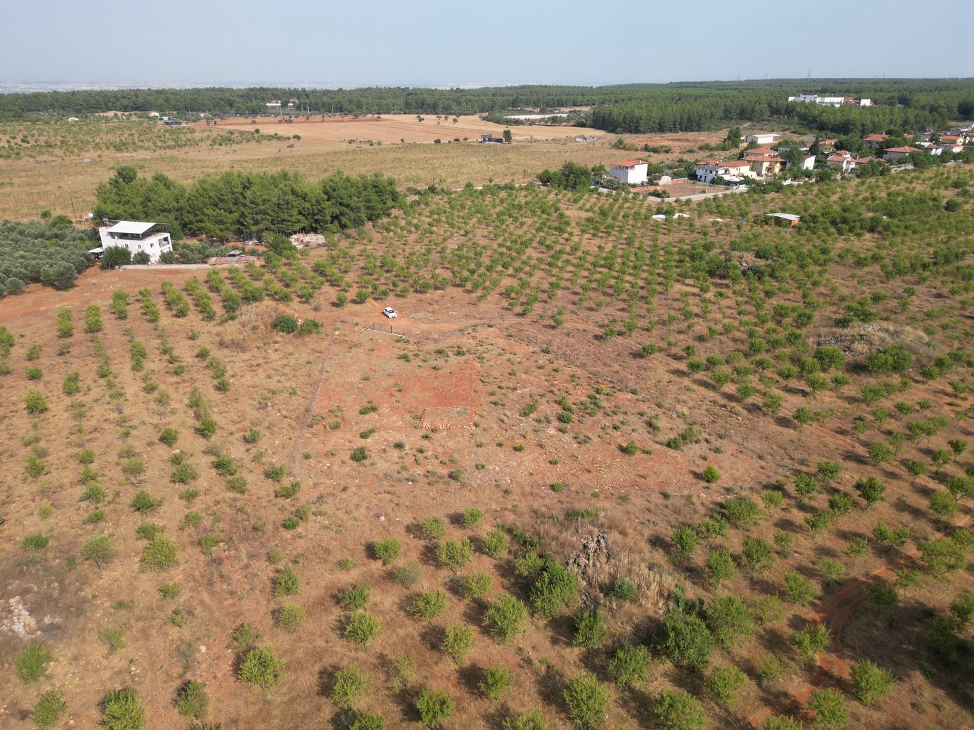 Premium Land for Sale in Antalya, Adjacent to Serene Forest
