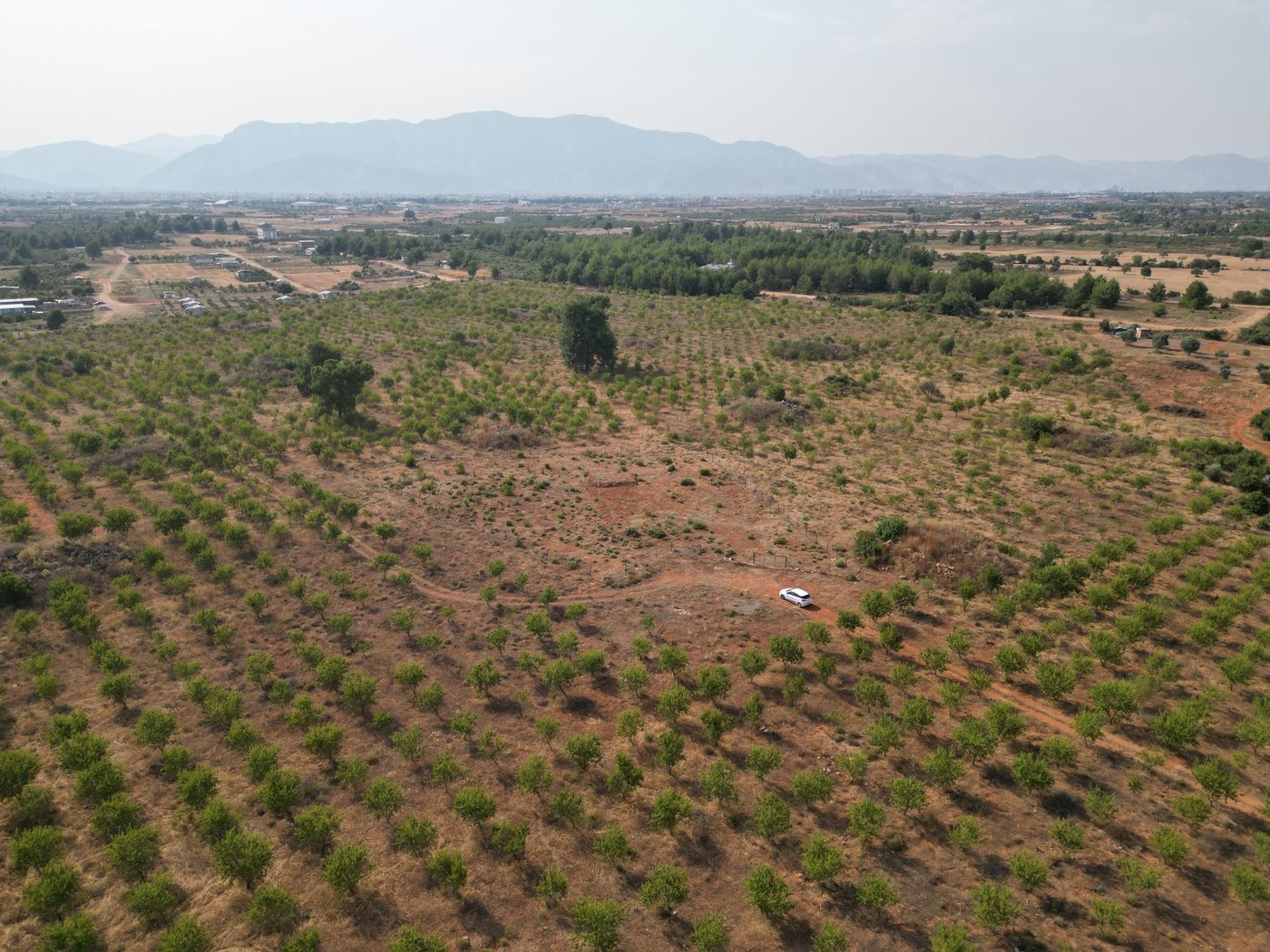 Premium Land for Sale in Antalya, Adjacent to Serene Forest