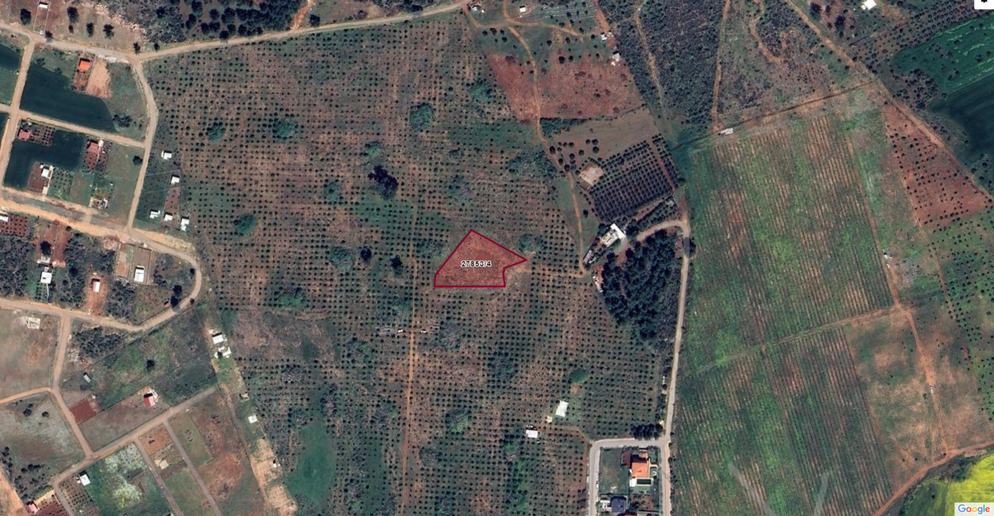 Premium Land for Sale in Antalya, Adjacent to Serene Forest