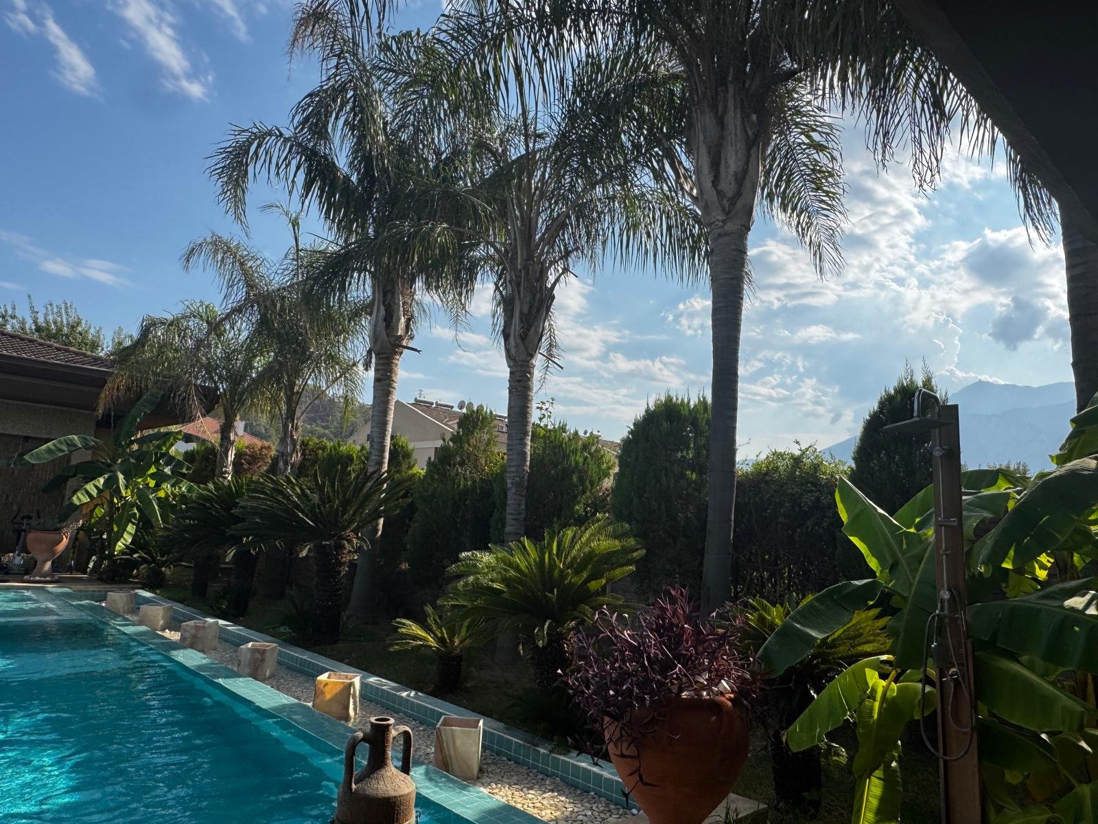 Property 1624